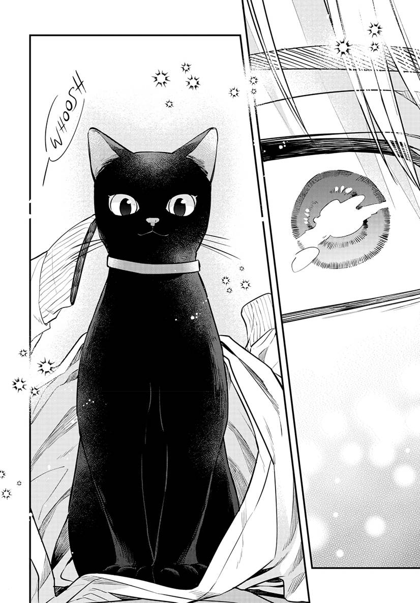 Chapter 2 - halaman 31