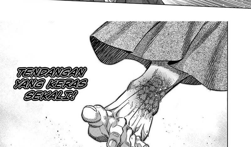 Chapter 229 - halaman 22