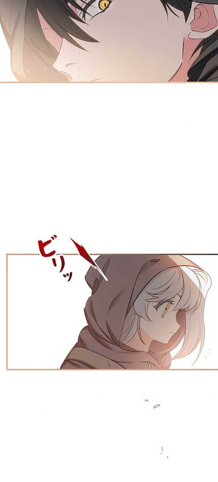 Chapter 2 - halaman 41