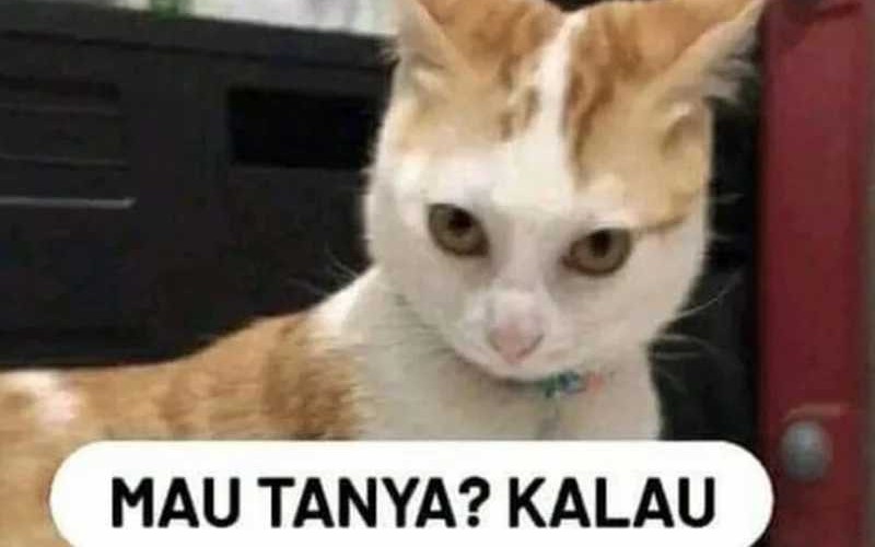 Chapter 73 - halaman 125
