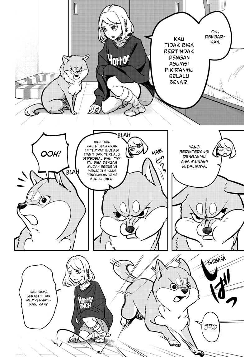 Chapter 2 - halaman 17