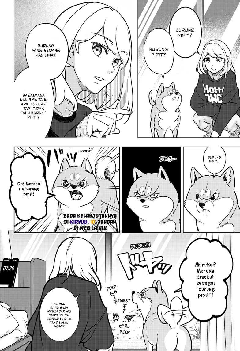 Chapter 2 - halaman 19