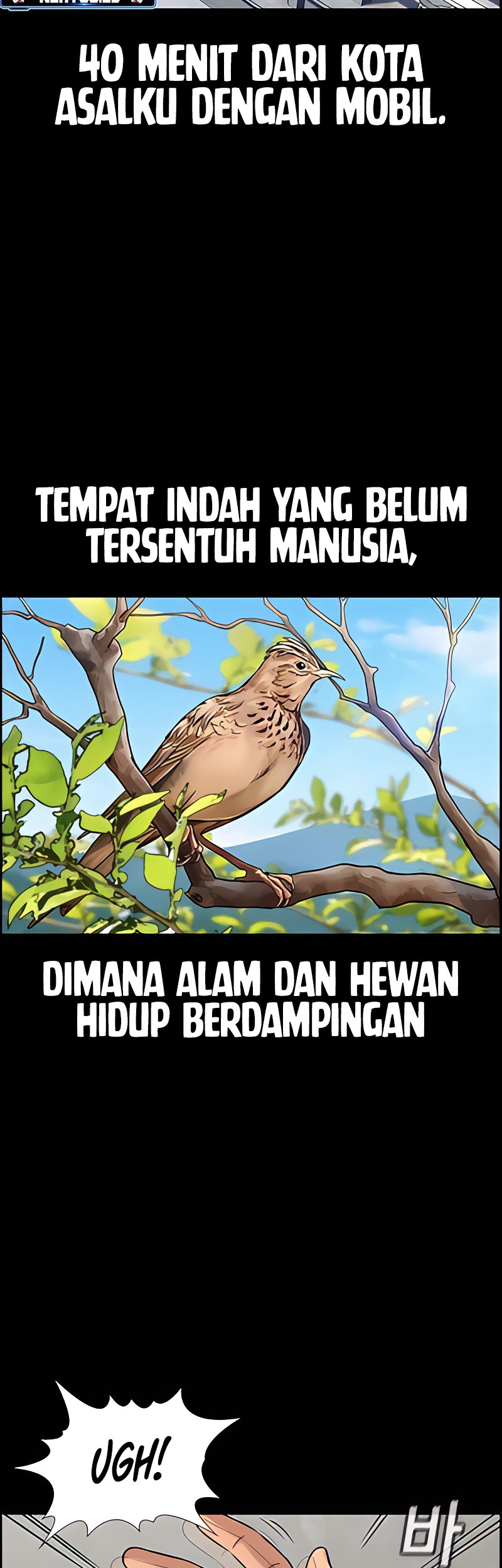 Chapter 133 - halaman 13