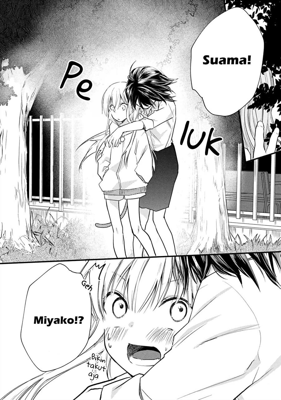 Chapter 11 - halaman 13