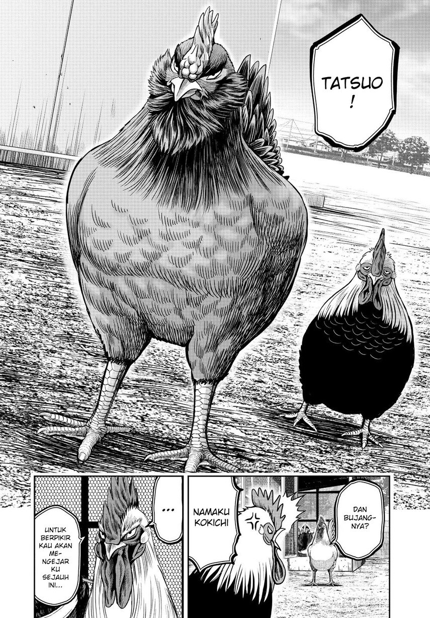 Chapter 11 - halaman 17