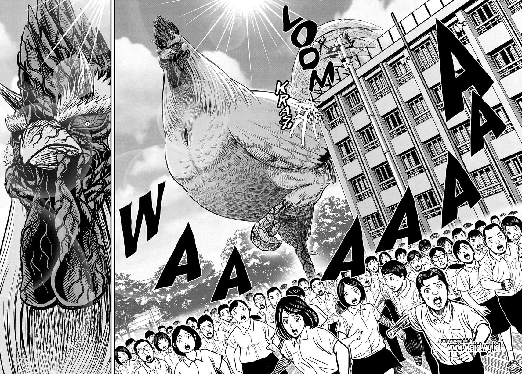 Chapter 11 - halaman 31