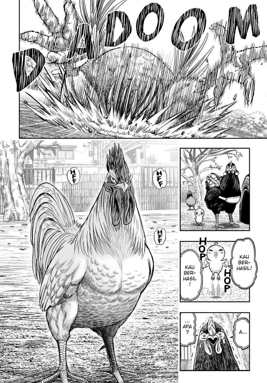 Chapter 11 - halaman 47