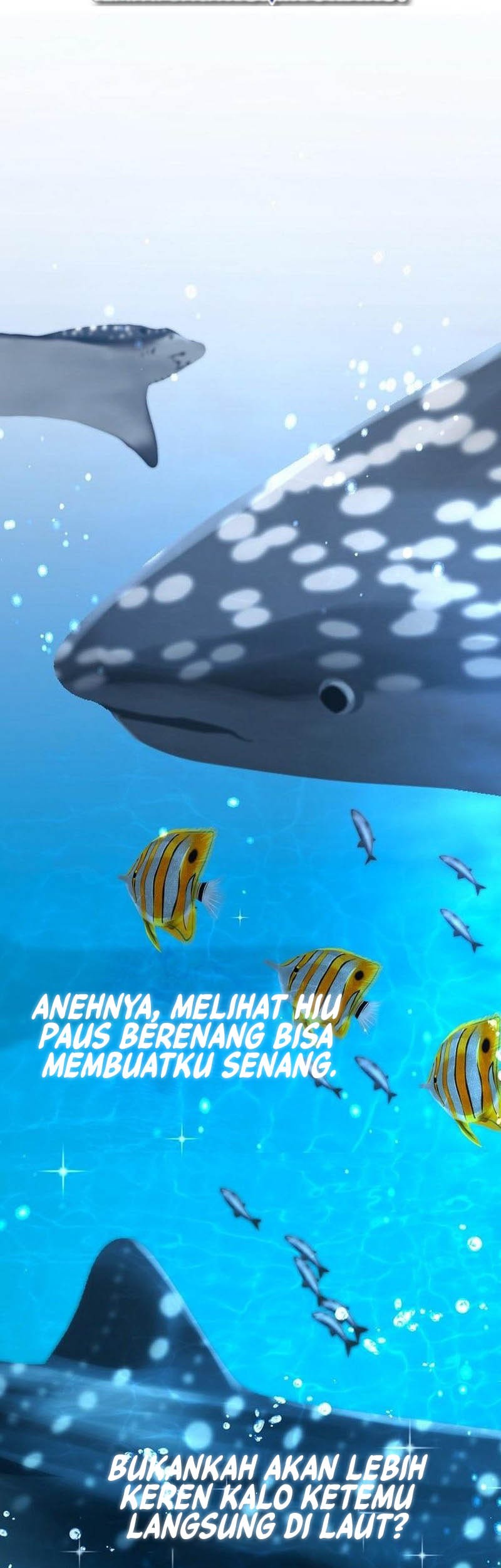 Chapter 16 - halaman 29
