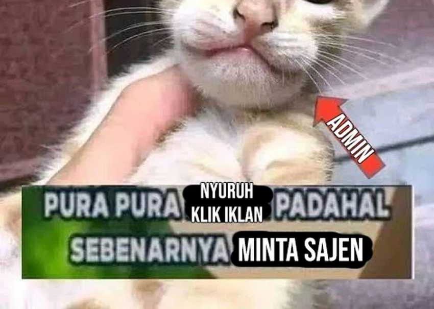 Chapter 17 - halaman 107