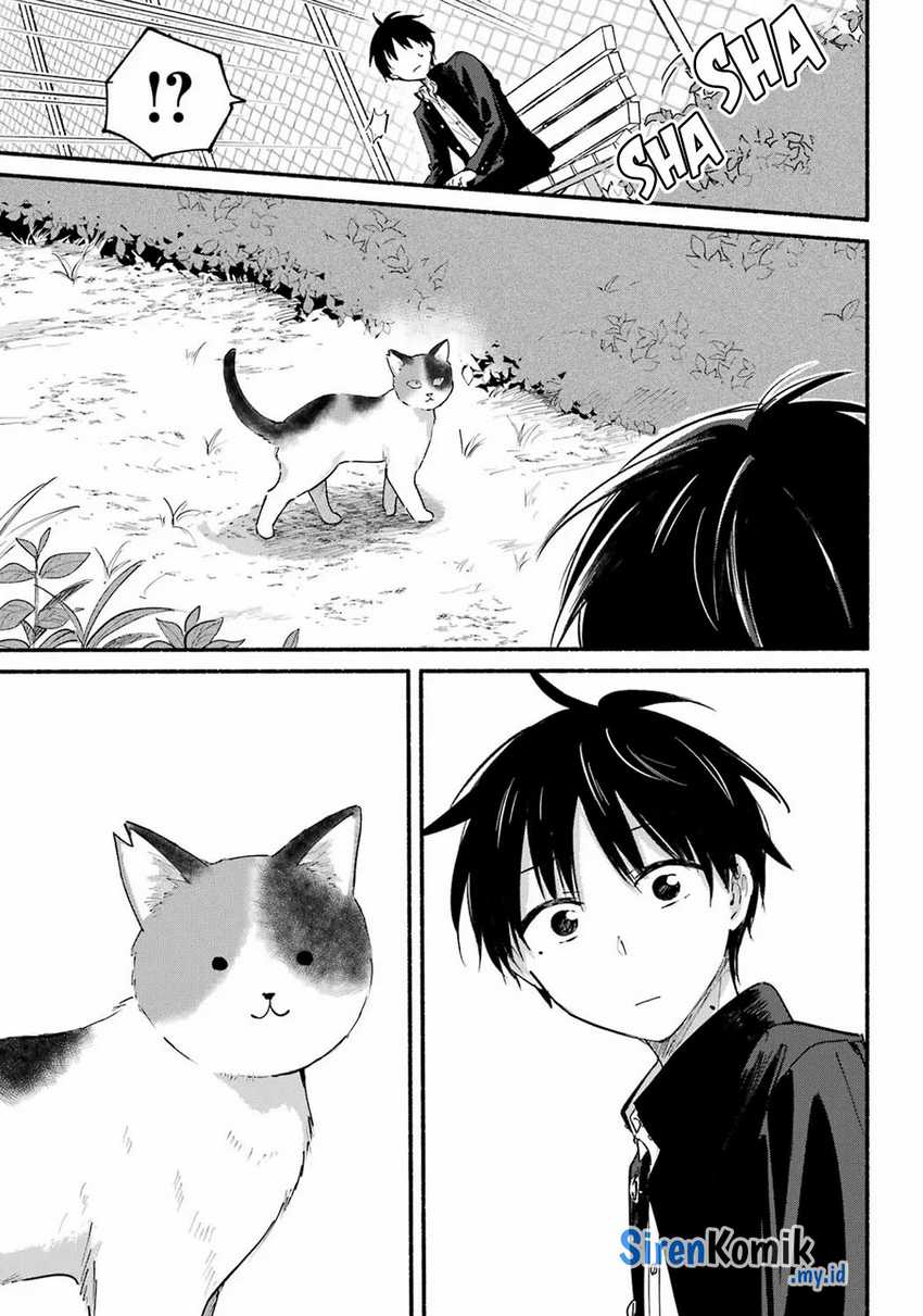 Chapter 14 - halaman 19