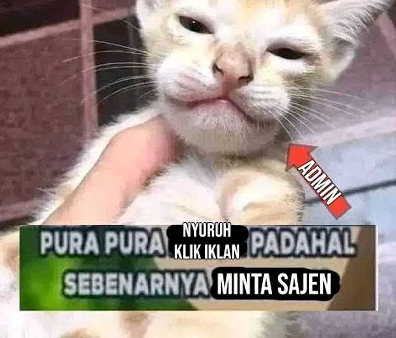 Chapter 18 - halaman 119