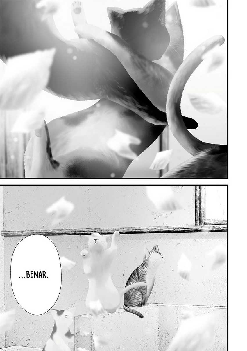 Chapter 52 - halaman 13