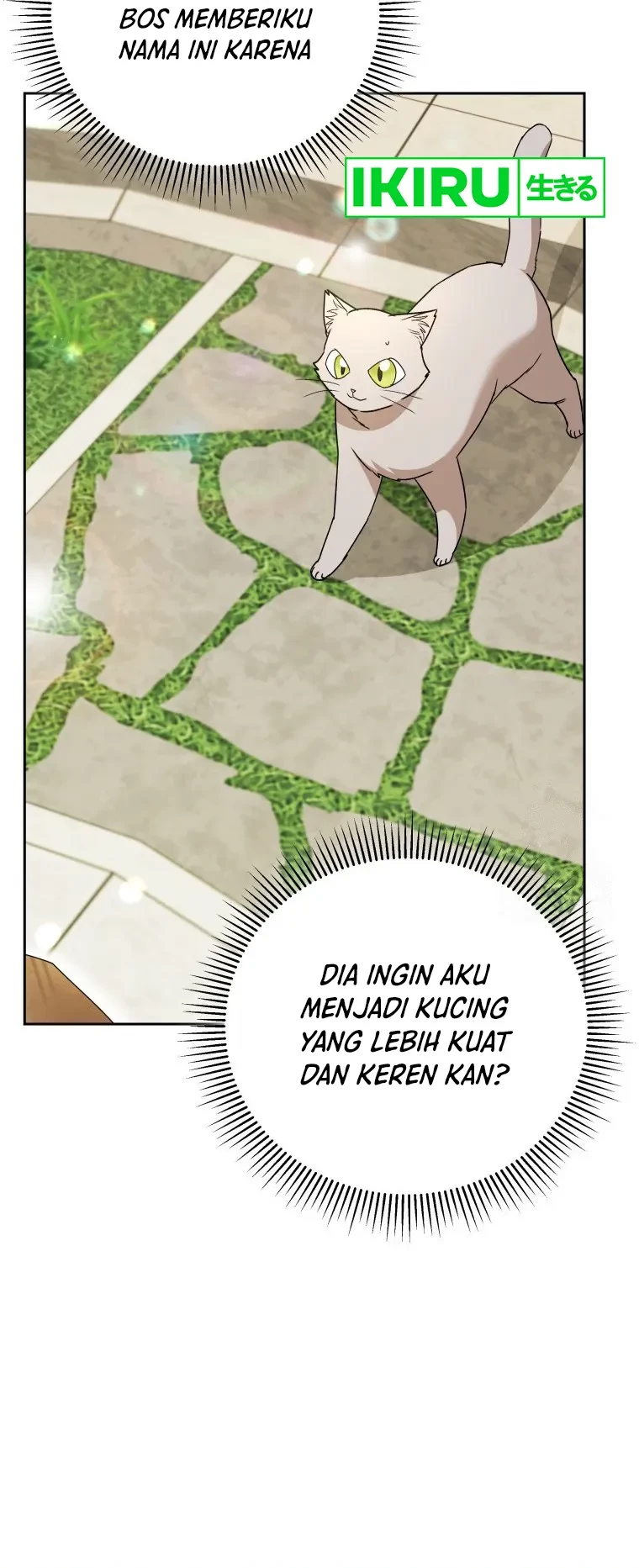 Chapter 81 - halaman 12