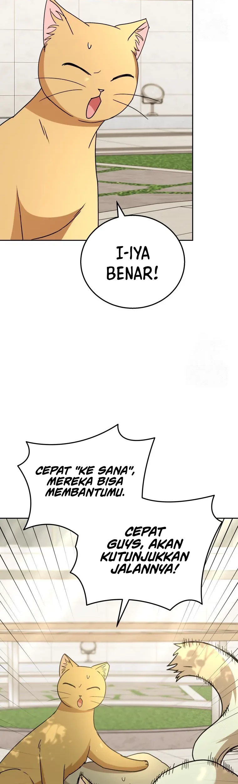 Chapter 81 - halaman 19