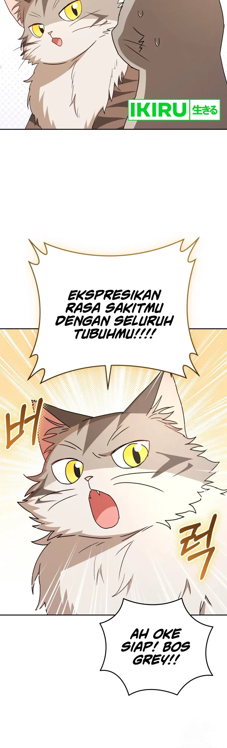 Chapter 81 - halaman 35