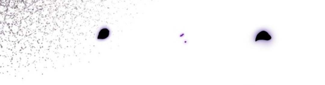 Chapter 35 - halaman 28