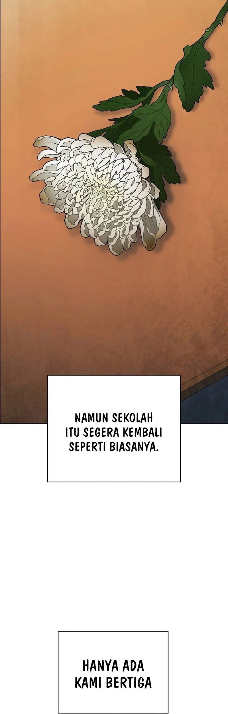 Chapter 260 - halaman 20