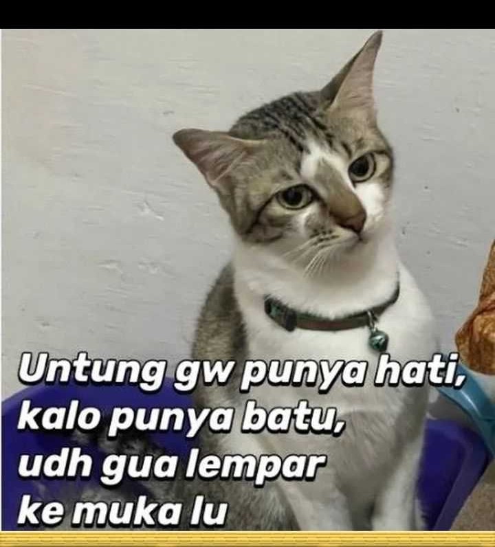 Chapter 113 - halaman 63