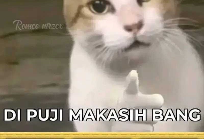 Chapter 57 - halaman 48
