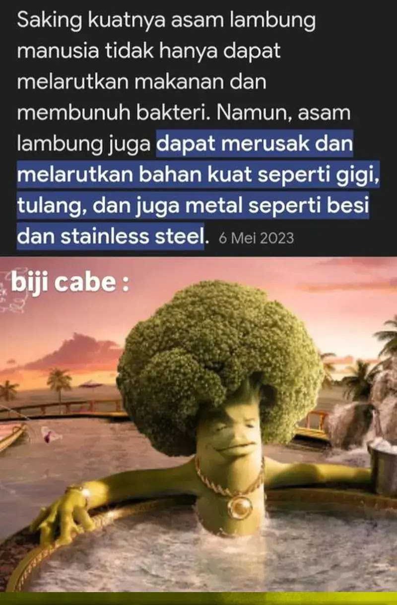 Chapter 22 - halaman 87