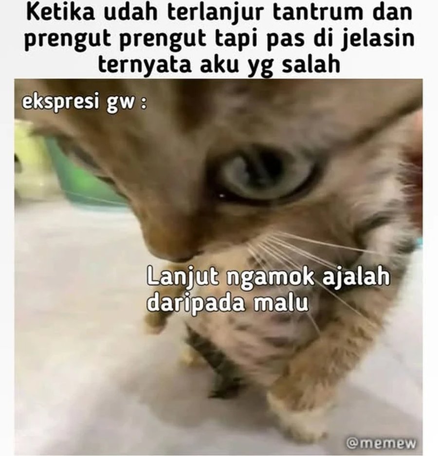 Chapter 70 - halaman 48