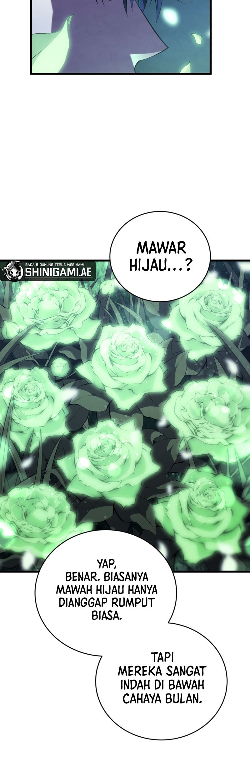Chapter 110 - halaman 13