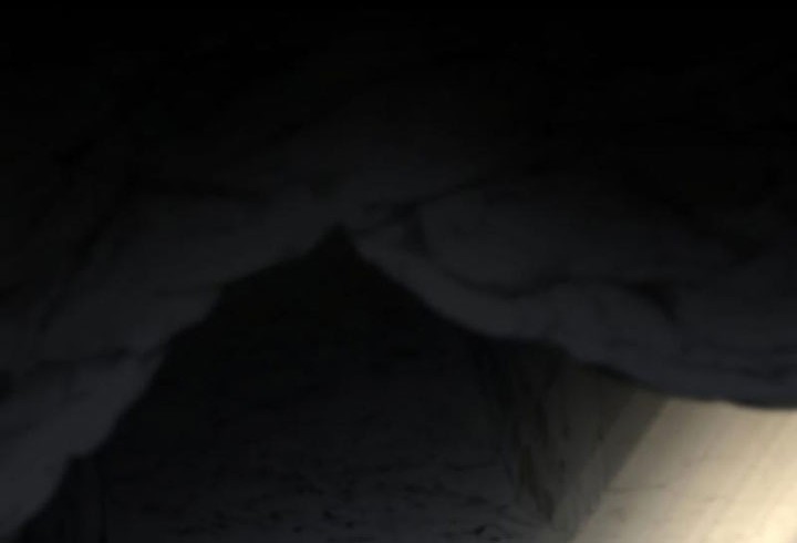 Chapter 126 - halaman 54
