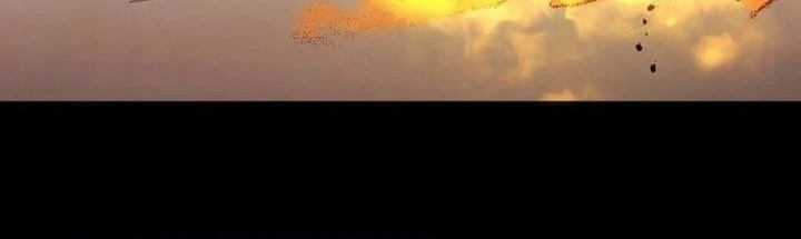 Chapter 78 - halaman 16