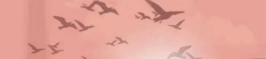 Chapter 3 - halaman 77