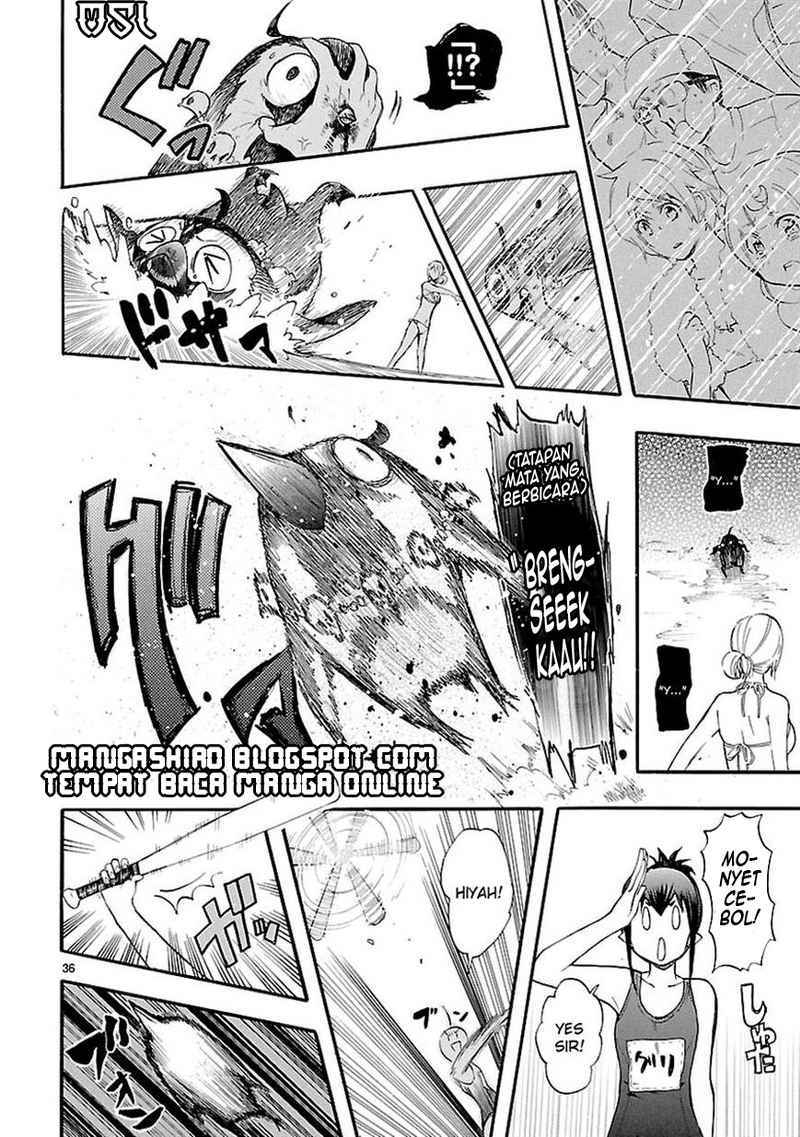 Chapter 16 - halaman 37