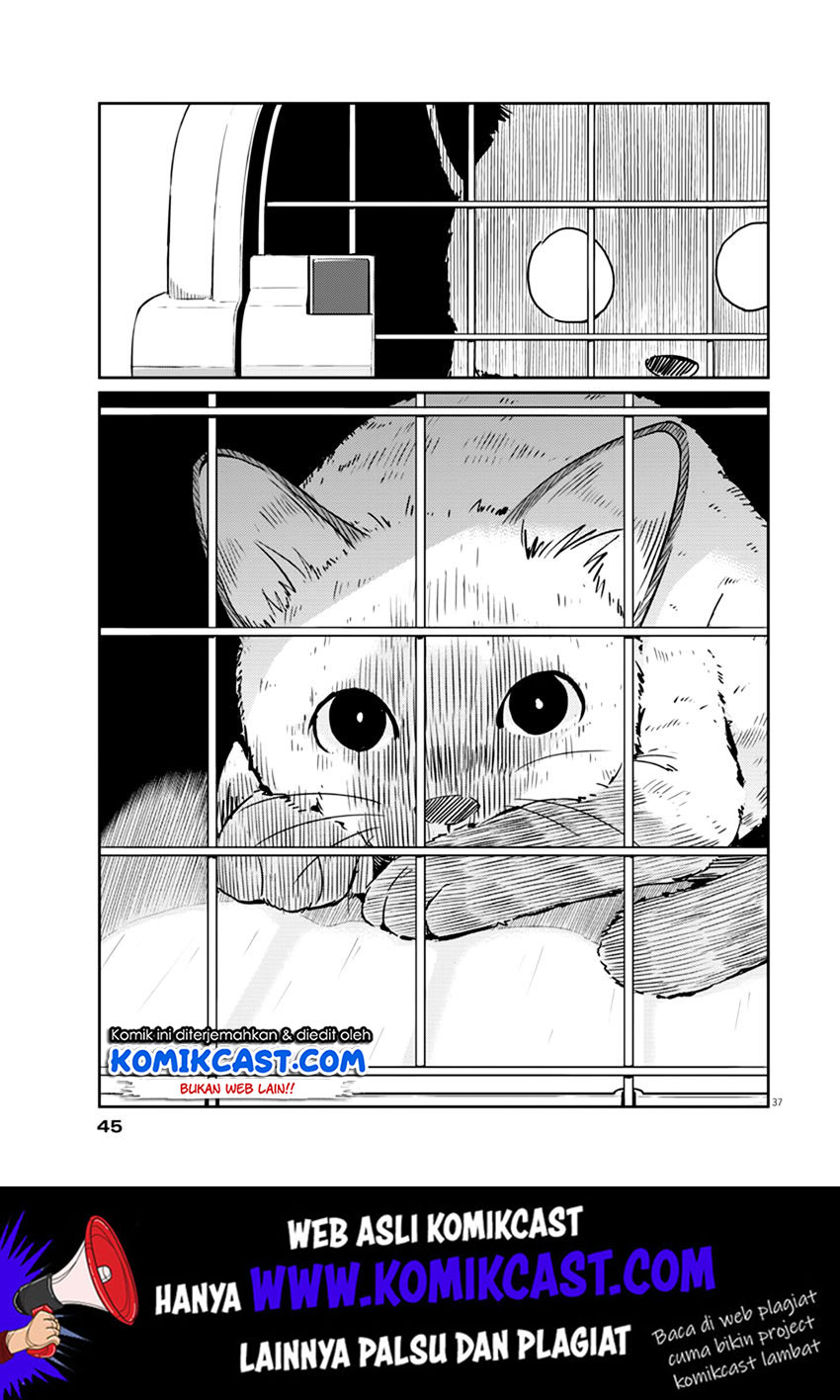Chapter 1 - halaman 38