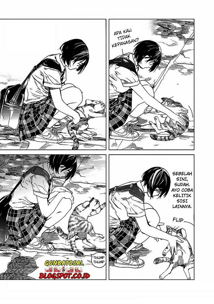 Chapter 17 - halaman 22