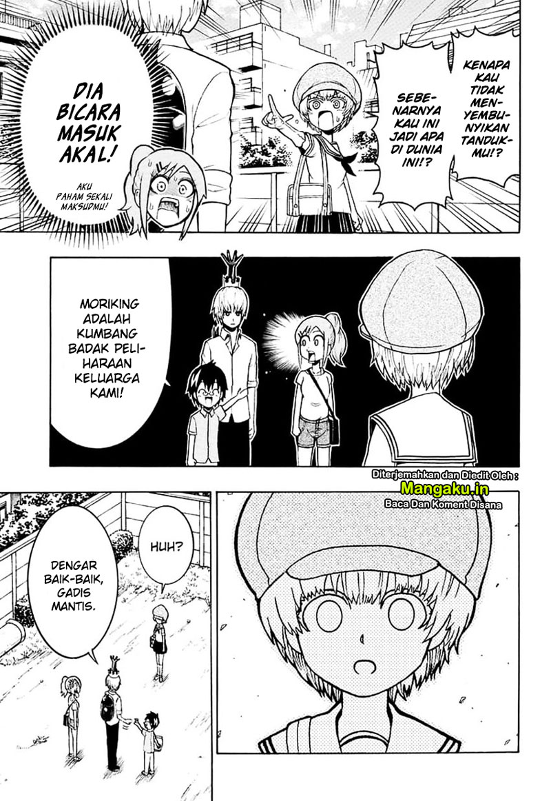 Chapter 4 - halaman 13