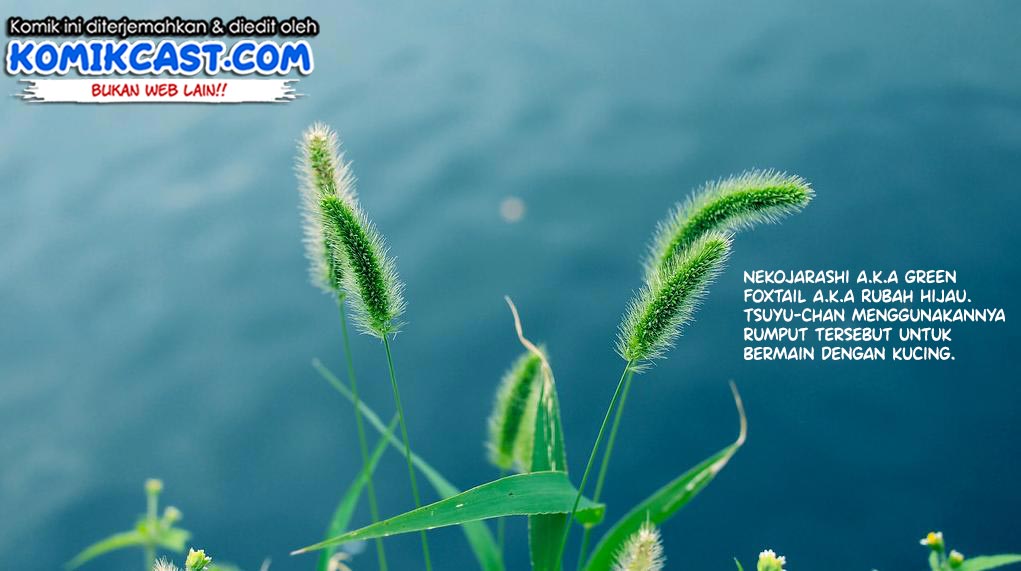 Chapter 3 - halaman 15