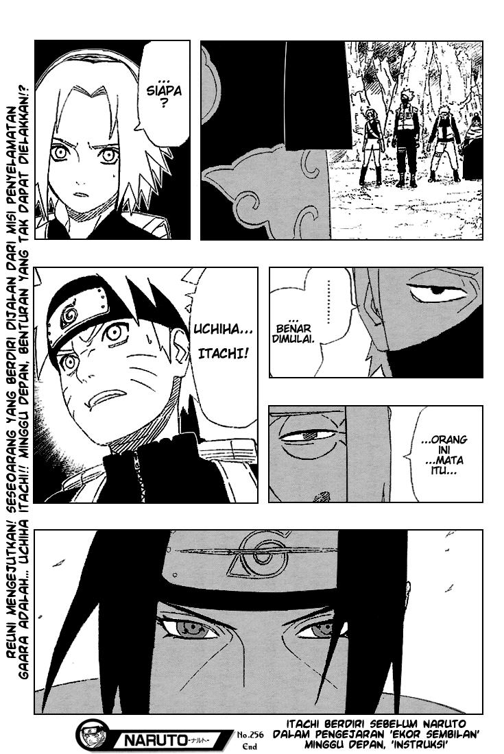 Chapter 256 - halaman 19