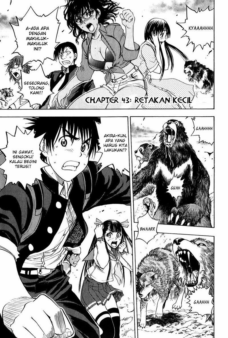 Chapter 43 - halaman 3