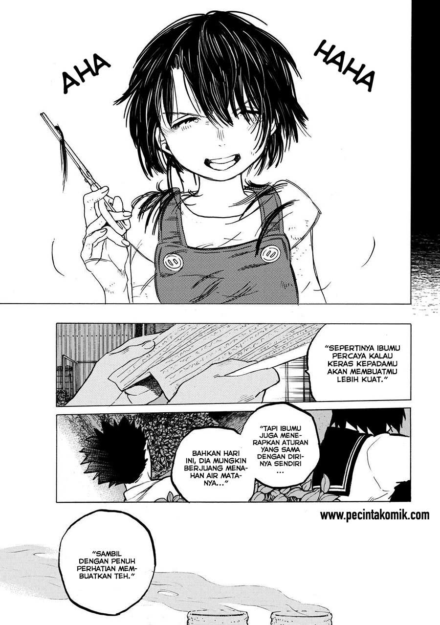Chapter 31 - halaman 19