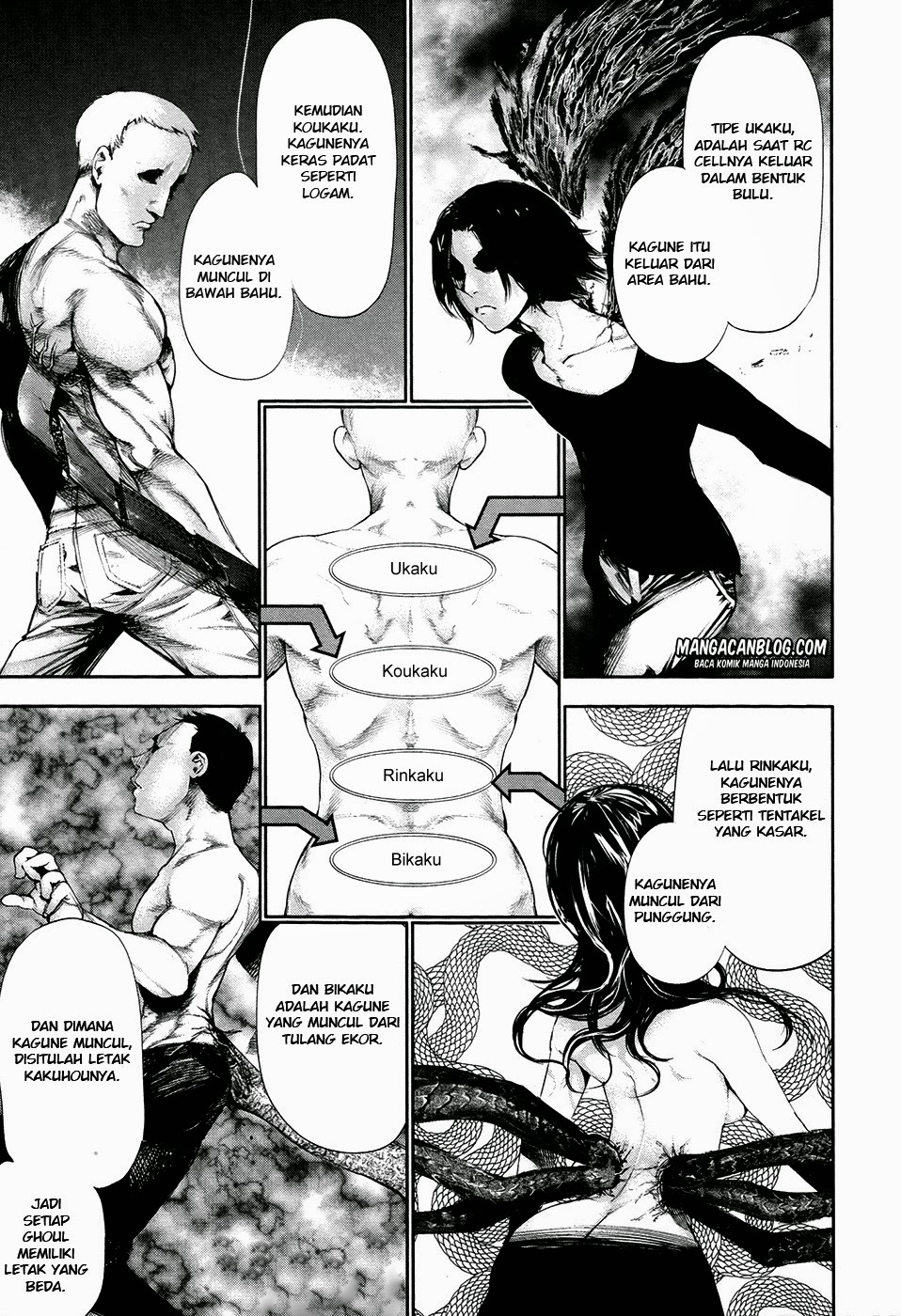 Chapter 53 - halaman 12