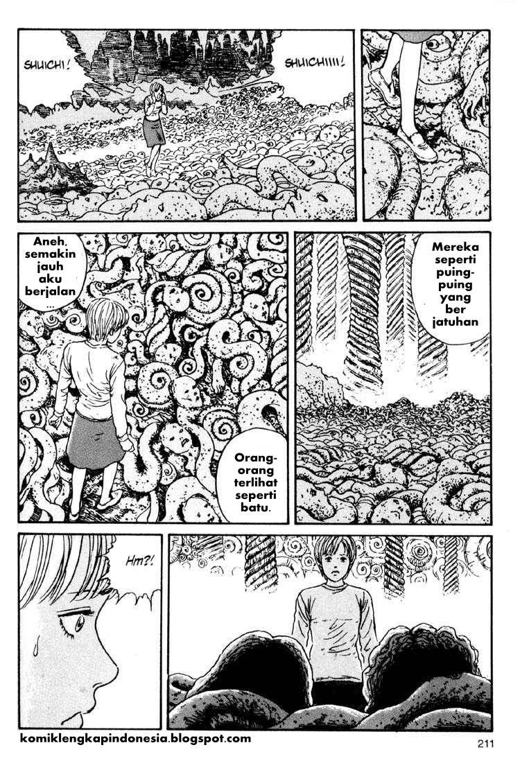 Chapter 19 - halaman 16