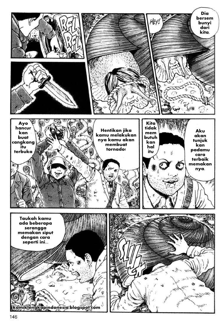 Chapter 17 - halaman 17