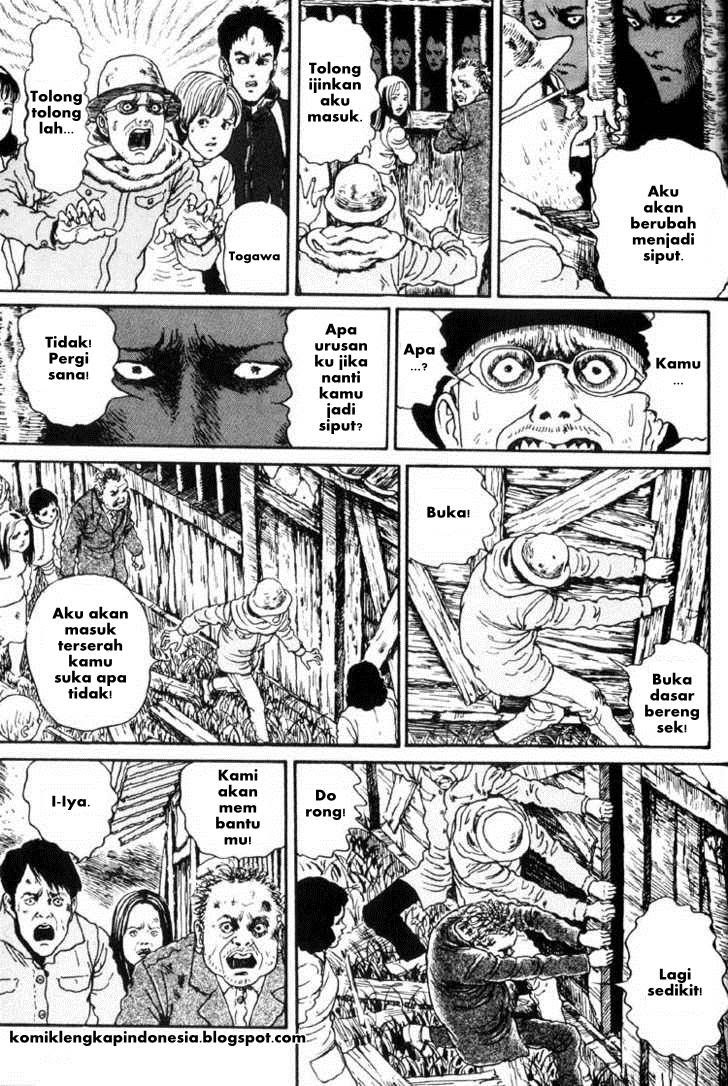 Chapter 16 - halaman 15