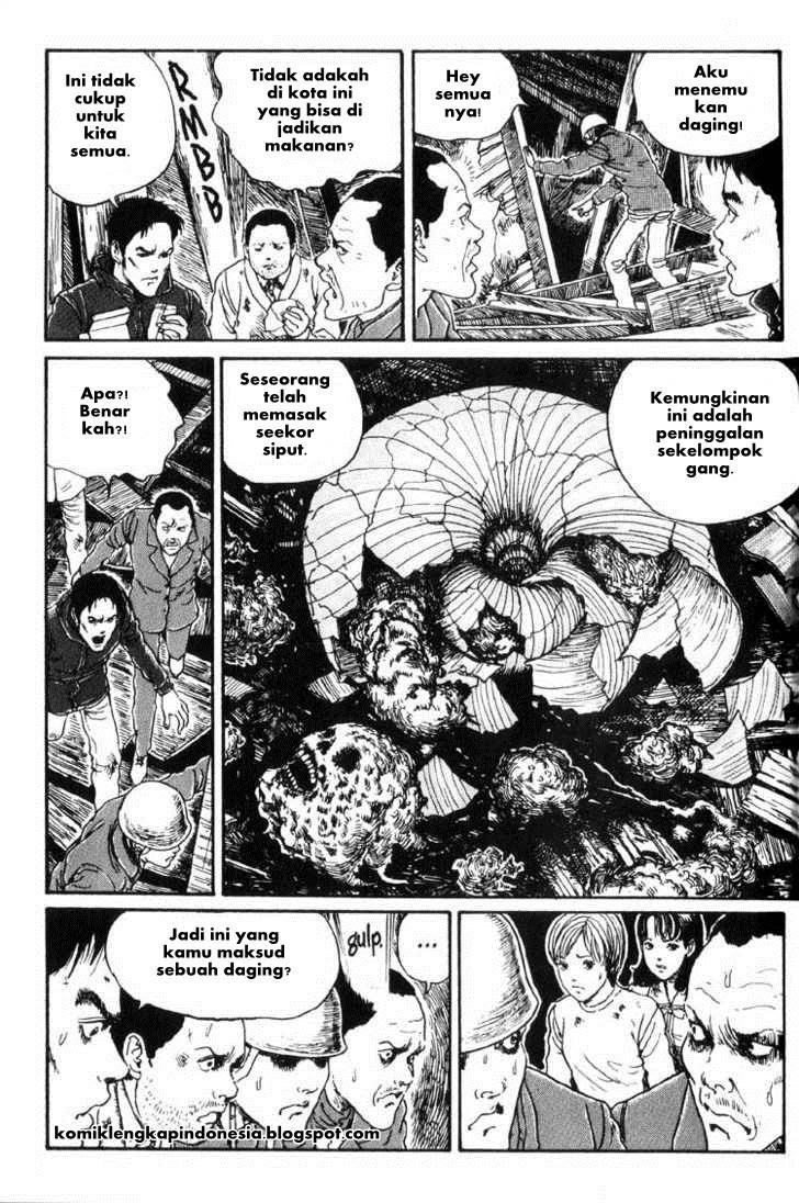 Chapter 16 - halaman 29