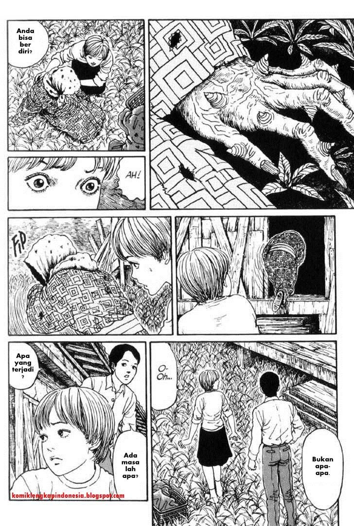 Chapter 13 - halaman 16