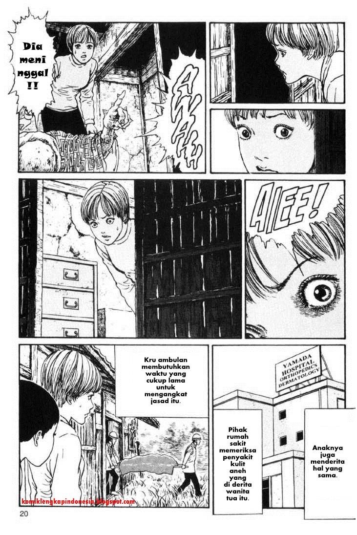 Chapter 13 - halaman 19