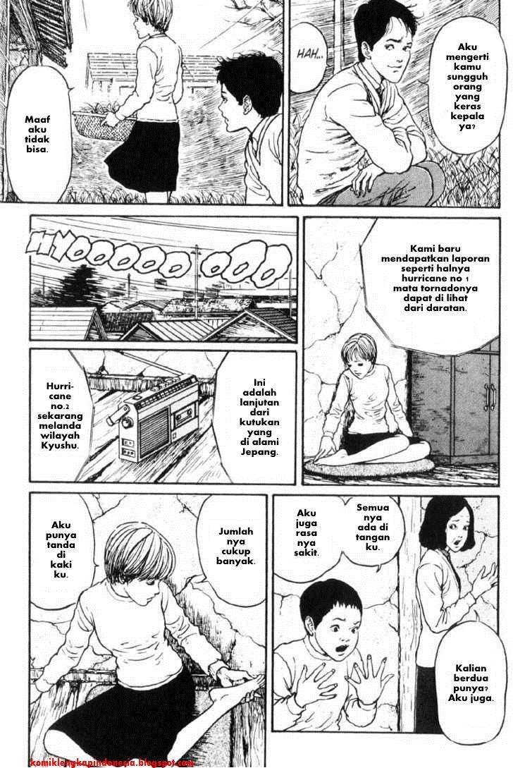 Chapter 13 - halaman 21