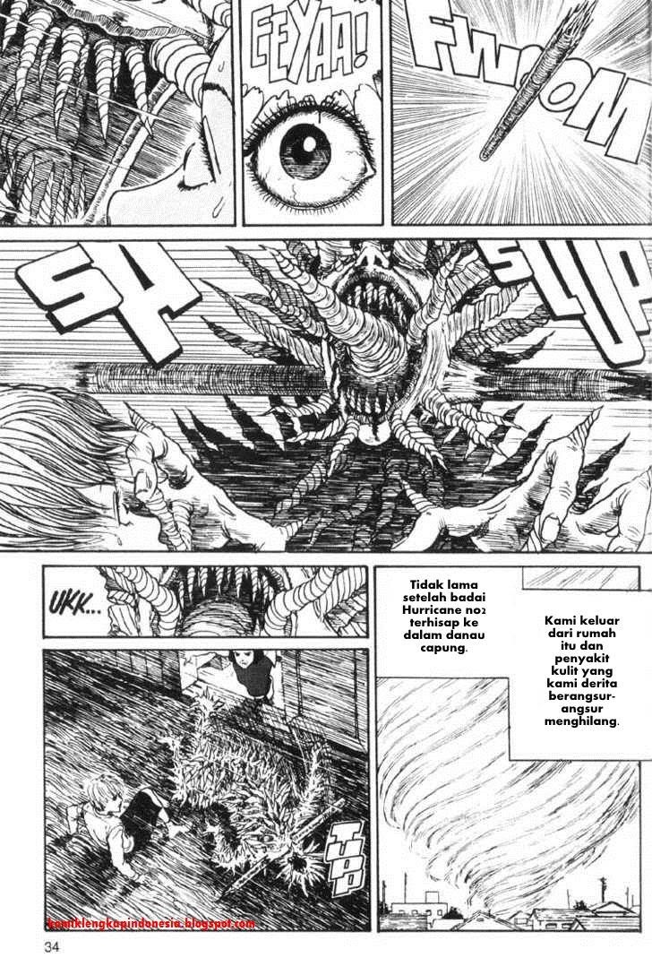 Chapter 13 - halaman 33