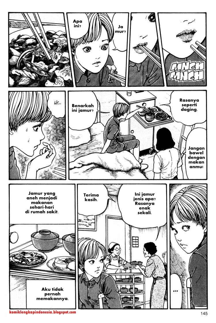 Chapter 11 - halaman 16