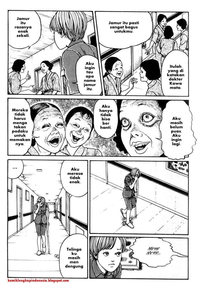 Chapter 11 - halaman 17
