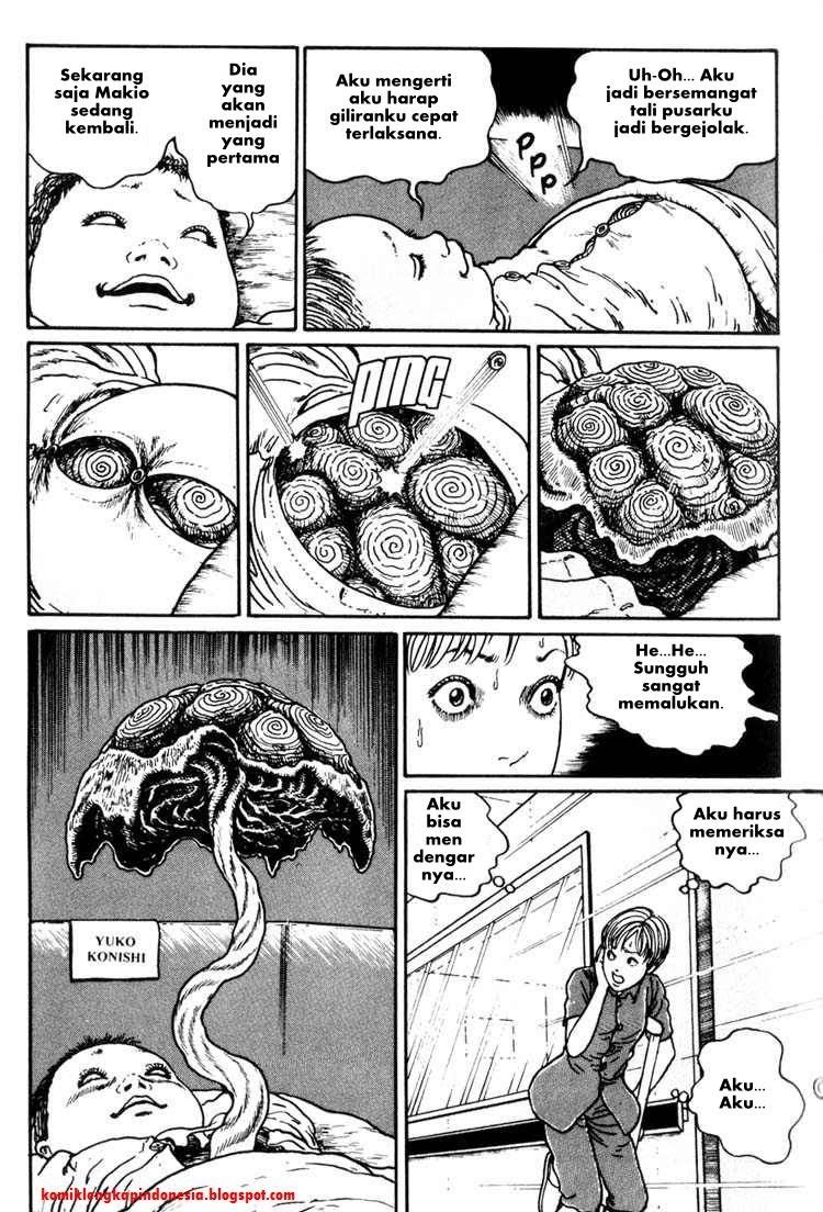 Chapter 11 - halaman 19