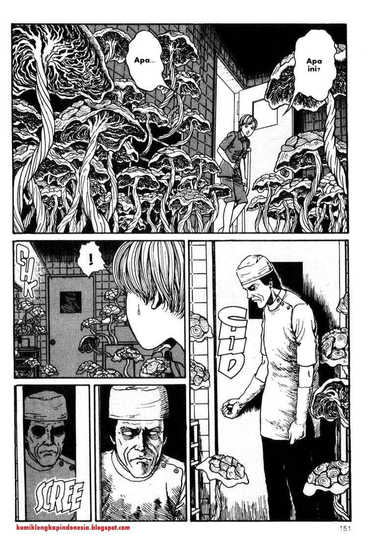 Chapter 11 - halaman 22